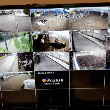 Çifliğinizdeki Hayvanlarınızı Gözünüzün Önünden Ayırmayın